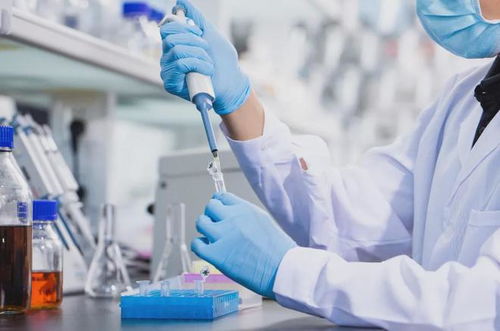 国家集采品种纳入药价监管网络 技术创新助力精准调控