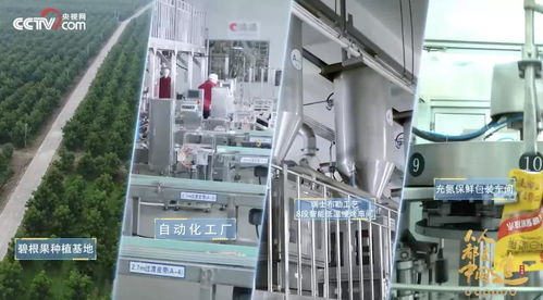 透明工厂再揭面纱 央视镜头下的洽洽，如何以技术内核引领坚果行业新鲜革命